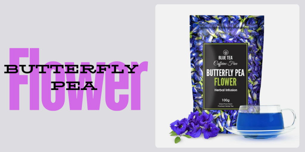 Butterfly Pea Flower: Exploring the Benefits & Uses