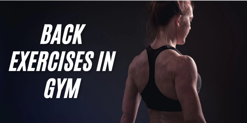 Back Exercises in Gym: Types, Benefits, Tips 