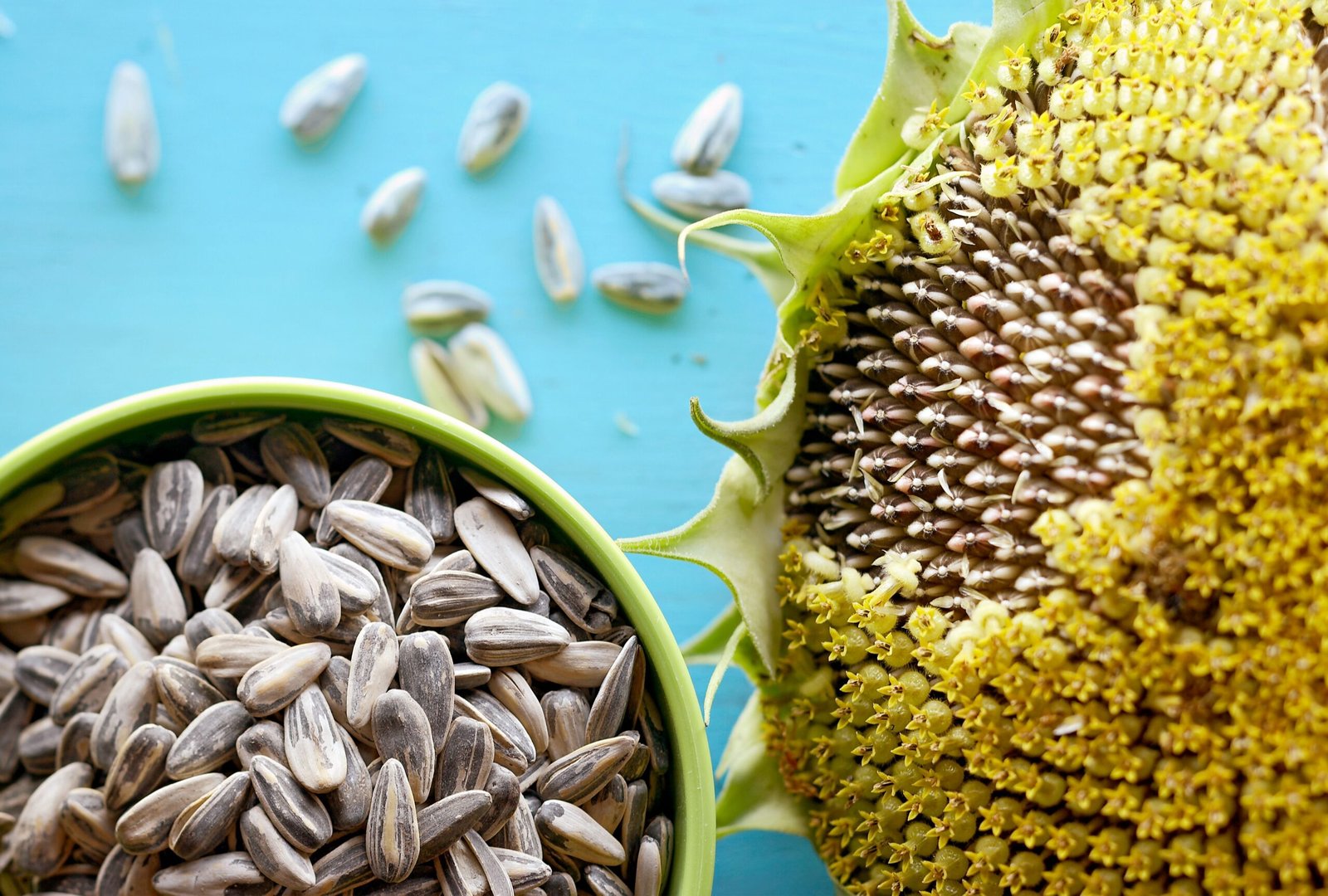 Sunflower Seeds benefits: Fun facts, Side-effects