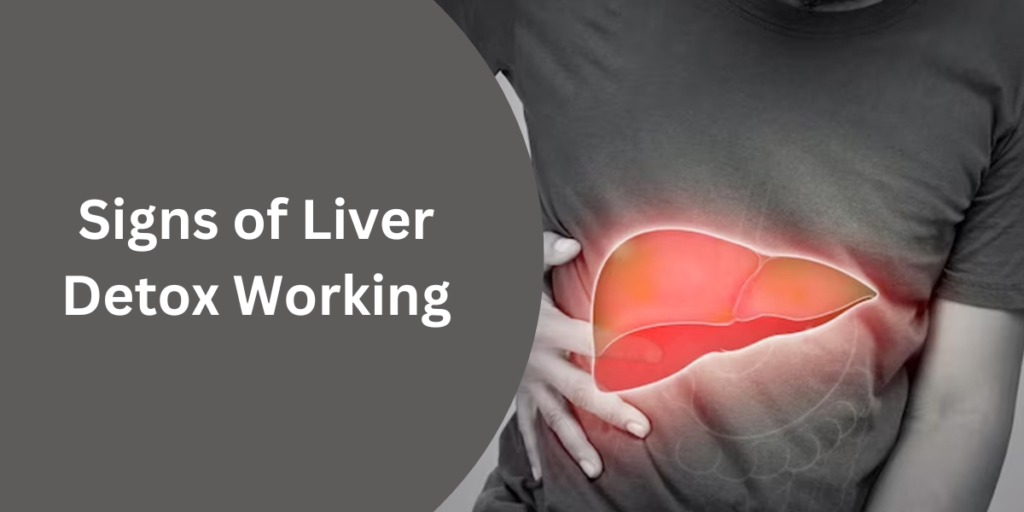 Signs of Liver Detox Working: Helps, Working, Overview and more