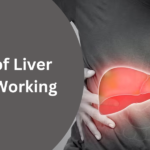 Signs of Liver Detox Working: Helps, Working, Overview and more